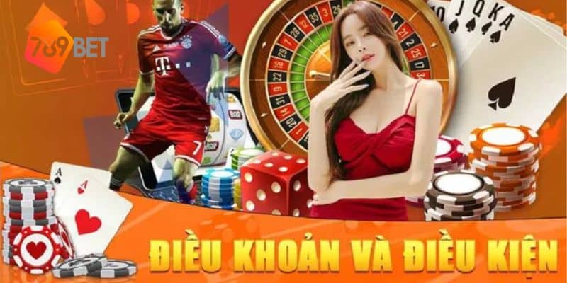 Điều kiện điều khoản